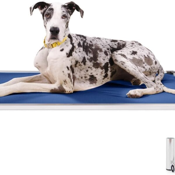 K9 Ballistics Chew Proof Armored Padded Dog Crate Bed, Virtually Indestructible, Legs Included (Blue Quartz, Medium (35" L x 22" W x 4.5" H))