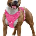BARKBAY No Pull Dog Harness Large Reflective Dog Harness with Front Clip and Easy Control Handle for Walking Training Running with ID tag Pocket(Pink,L)