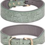 Leather Dog Collar, for Large, Medium & Small Dogs, PU Leather Collar with Embossed Print (XL, Green)