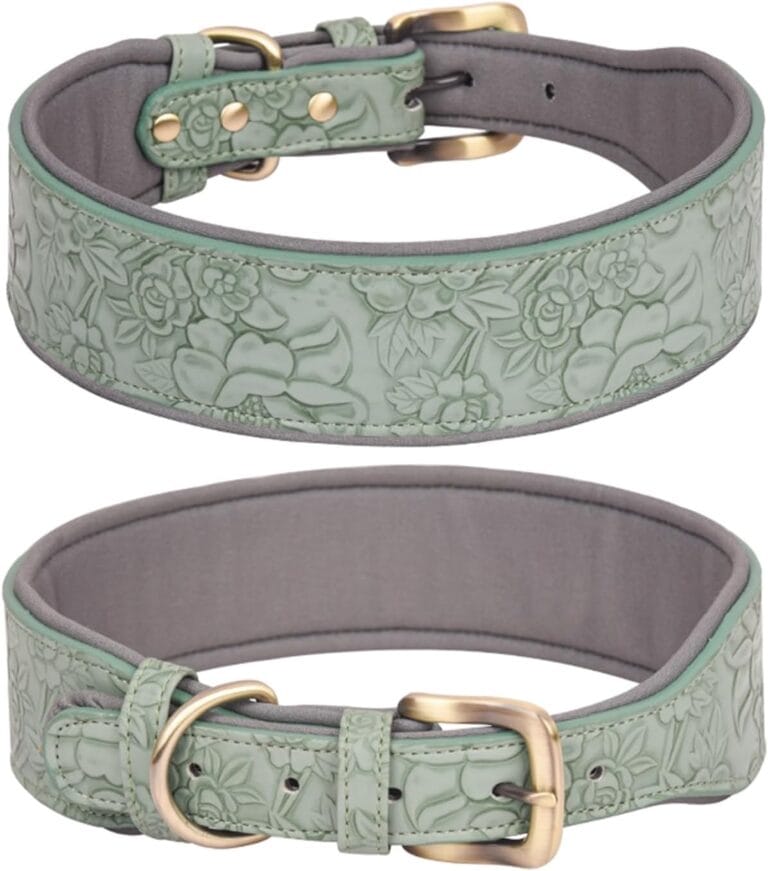 Leather Dog Collar, for Large, Medium & Small Dogs, PU Leather Collar with Embossed Print (XL, Green)