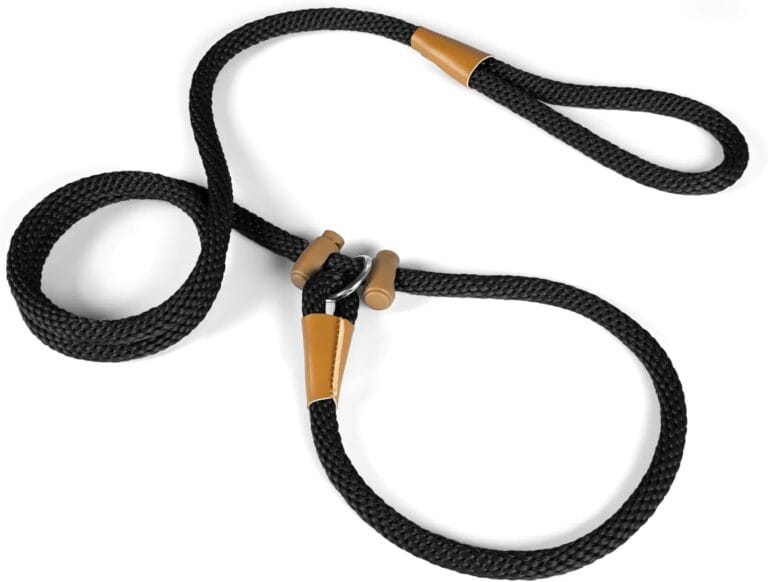 FASTFOX Dog Training Leash, 6ft x 1/2 Inch Slip Lead Loop for Small Medium Large Dogs, No Pull 3-in-1 (Black)