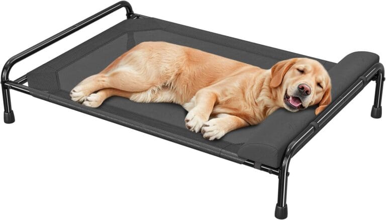 Simple Trending Elevated Dog Bed for Large Dogs, Cooling Raised Pet Cot with Bolster, Breathable Outdoor Couch Bed, 44.5" x 31", Black