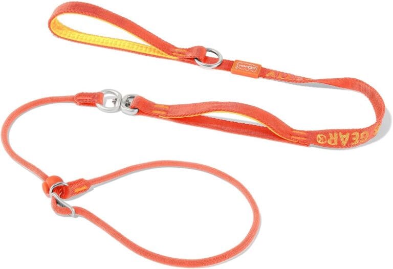 Slip Lead Dog Leash with Double Handles | Reflective Dog Training Lead with 360 Swivel Anti-Tangle | Heavy-Duty Leash and Collar for Large Medium and Small Dogs No-Pull Walking (Orange, 5.5FT)