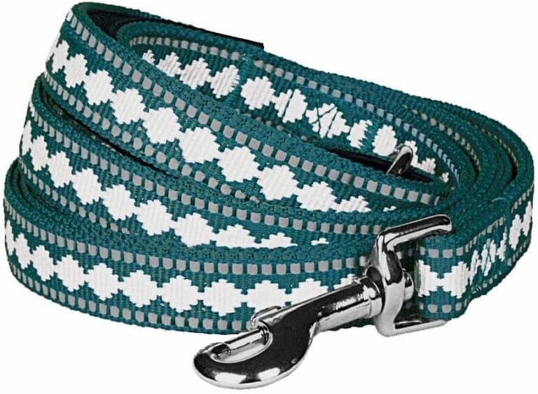 Blueberry Pet 3M Reflective Jacquard Dog Leash with Soft & Comfortable Handle, 5 ft x 3/4", Teal Blue, Medium, Leashes for Dogs