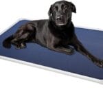 Veehoo Chew Proof Elevated Dog Bed - Cooling Raised Pet Cot - Silver Aluminum Frame and Durable Textilene Mesh Fabric, Unique Designed No-Slip Feet for Indoor or Outdoor Use, Blue, X-Large, CWC2003