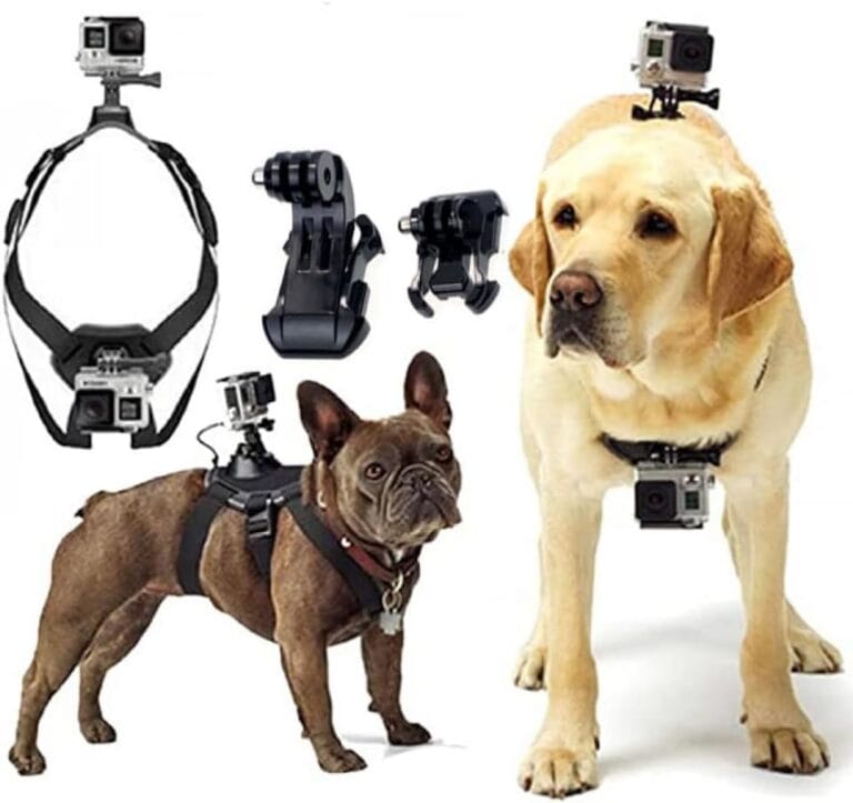 Dog Harness for Gopro, Soft and Adjustable Dog Harness Mount for Gopro forLarge, Medium and Small Dogs Can Be Used for Chest and Back Fixation Suitable for Gopro10/9/8/7/6/5