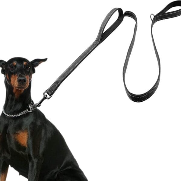 Dog Leash for Large Dogs, Traffic Padded 2 Handles for Extra Control, 6 FT Long with Reflective Stitch for Night Walking Black