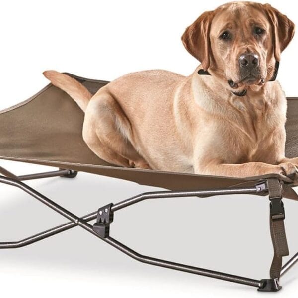 Guide Gear Bed with Elevated Bed Frame, Raised Outdoor Pet Couch, Cot, Dura Mesh Brown