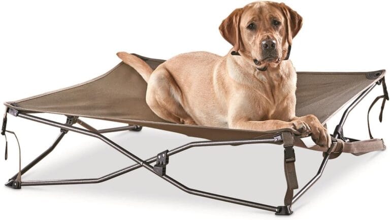 Guide Gear Bed with Elevated Bed Frame, Raised Outdoor Pet Couch, Cot, Dura Mesh Brown