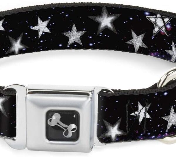 Buckle-Down Dog Collar Seatbelt Buckle Glowing Stars in Space Black Purple White, Multi Color, 1" Wide - Fits 9-15" Neck - Small (DC-W30760-S)