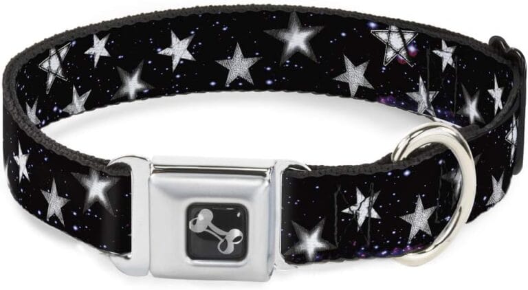 Buckle-Down Dog Collar Seatbelt Buckle Glowing Stars in Space Black Purple White, Multi Color, 1" Wide - Fits 9-15" Neck - Small (DC-W30760-S)
