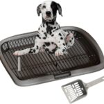 Pet Training Tray Pet Training Pads Holder Dog Toilet Pee Pad Holder Indoor Dog Potty Tray Easy Cleaning Removable Mesh (L)
