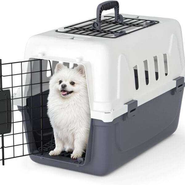 Magshion 18 Inch Pet Carrier for Small Dogs and Cats with Top and Front Door Access, Plastic Dog Kennel for Longer Traveling, Durable Handle, and 4 Sides Ventilation for Pet Up 10 lbs (White+Grey)