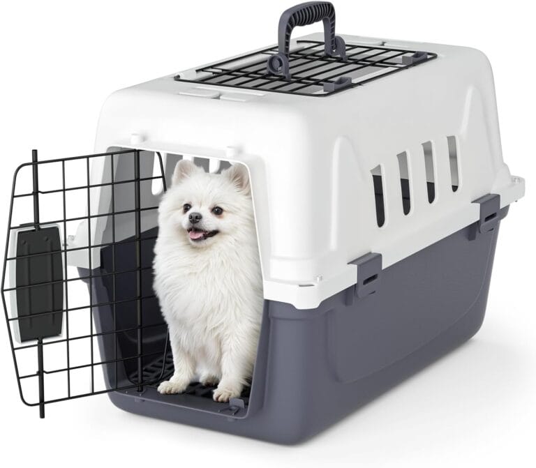 Magshion 18 Inch Pet Carrier for Small Dogs and Cats with Top and Front Door Access, Plastic Dog Kennel for Longer Traveling, Durable Handle, and 4 Sides Ventilation for Pet Up 10 lbs (White+Grey)