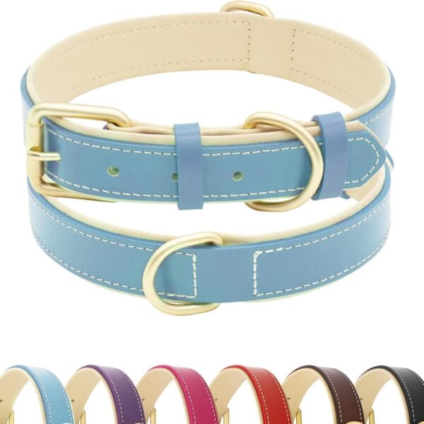 Leather Dog Collar for Small Medium and Large Dogs, Soft Padded Dog Leather Collar with Gold Buckle, Adjustable Genuine Leather Collars for Large Dogs(Teal Blue, L)