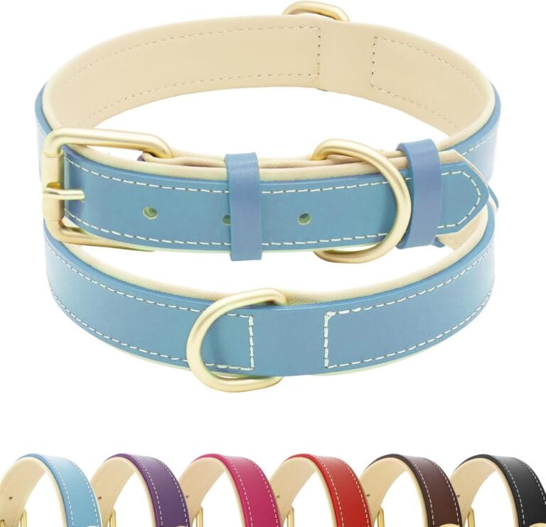 Leather Dog Collar for Small Medium and Large Dogs, Soft Padded Dog Leather Collar with Gold Buckle, Adjustable Genuine Leather Collars for Large Dogs(Teal Blue, L)