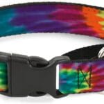 Buckle-Down Bd Tie Dye Martingale Dog Collar, 1" Wide-Fits 9-15" Neck-Small