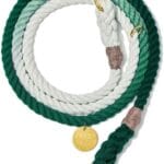 Found My Animal - Teal Ombre Cotton Rope Dog Leash, (Medium) - Heavy Duty Dog Training Leash - Adjustable Solid Brass Lockable Carabiners - Handcrafted Braided Dog Leash Rope - Made in USA