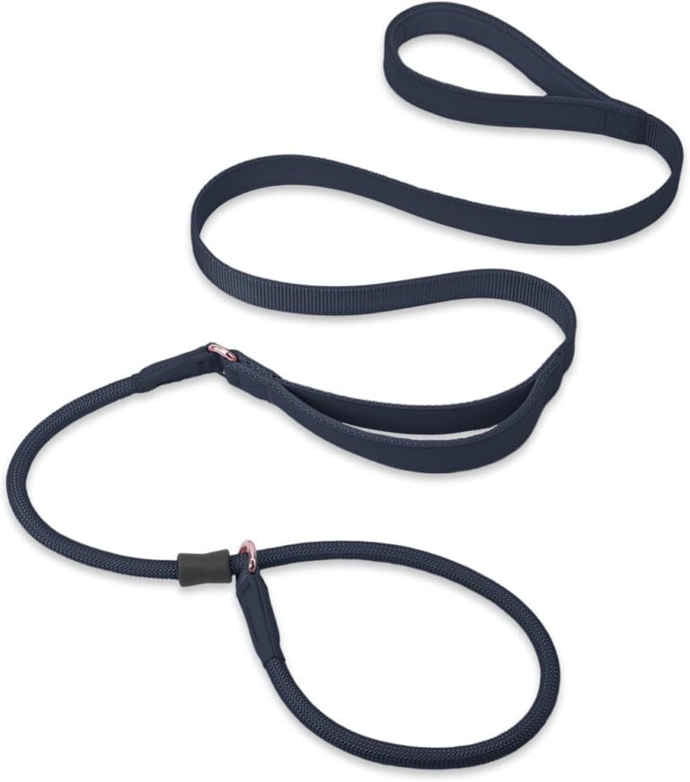 Slip Lead Dog Leash, Soft Leather Dog Training Leash with Double Handle, Heavy Duty Nylon Dog Lead Slip Lead and Collar, No Pull Walk for Medium Large Small Dogs 6ft Black