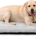 Washable Dog Crate Pad, Ultra Soft Dog Bed for Large Dogs, Anti-Slip Kennel Pad for Dogs Cozy Sleeping Mattress, Travel Flat Pet Beds for Indoor & Outdoor Pet (42" x 28", Grey