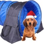 Japard 2 Pack Dog Agility Equipment, Tunnel Sandbags, Hold One End, Holding Bags Only, Training Tool, Outdoor Indoor