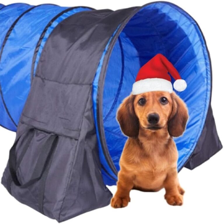 Japard 2 Pack Dog Agility Equipment, Tunnel Sandbags, Hold One End, Holding Bags Only, Training Tool, Outdoor Indoor