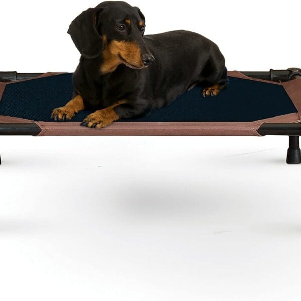 K&H Pet Products Outdoor Elevated Dog Cot, Breathable Cooling Elevated Cot Hammock Pet Bed for Small Dogs, Washable Mesh Cover, Raised Metal Frame, Collapsible, Portable - Small 22 X 17in Chocolate