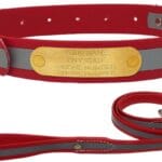 Regal Dog Products Small Red with Custom Engraved Reflective Dog Collar and Leash Set | Waterproof Dog Collar with D Ring | Center Ring & 5'ft Leash | Matching Dog Collar and Leash for Dogs