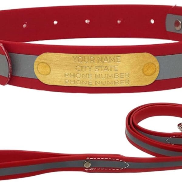 Regal Dog Products Small Red with Custom Engraved Reflective Dog Collar and Leash Set | Waterproof Dog Collar with D Ring | Center Ring & 5'ft Leash | Matching Dog Collar and Leash for Dogs