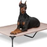 Elevated Dog Bed for Outdoor, XXL Raised Dog Cot Indestructible with Washable Mesh, Cooling Summer Pet Cot Chew Proof for Outside Camping Travel, 59"x36" Grey