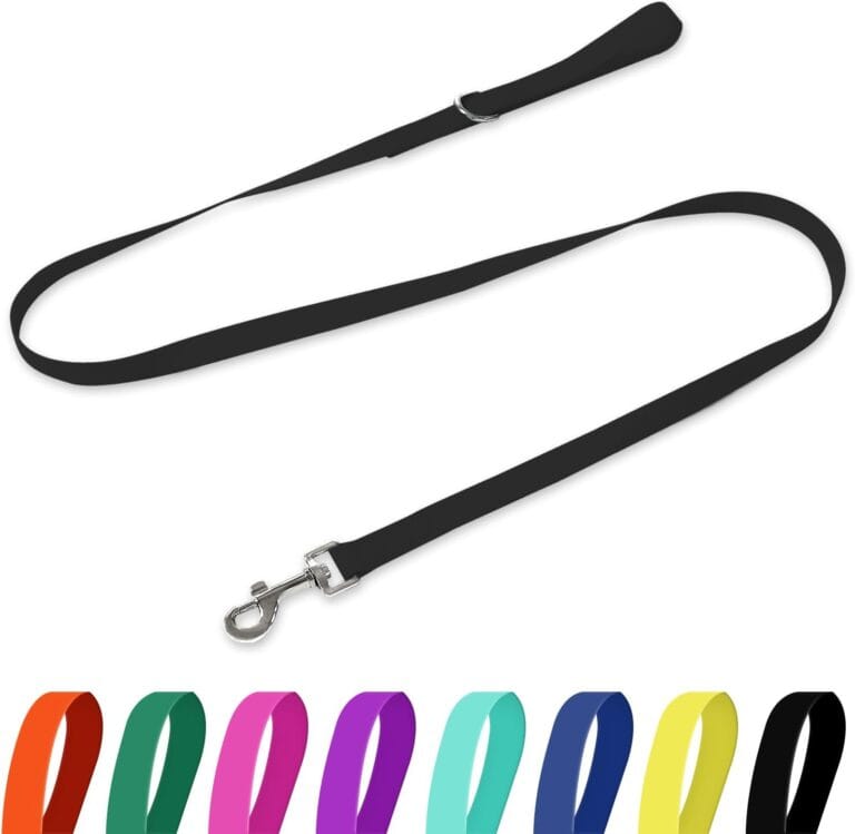 Waterproof Dog Leash, 5/6 FT Durable Odor-Proof Dog Leashes with Strong Metal Hooks Fits Small Medium or Large Dogs (Black, 6FT - 1 inch Width)