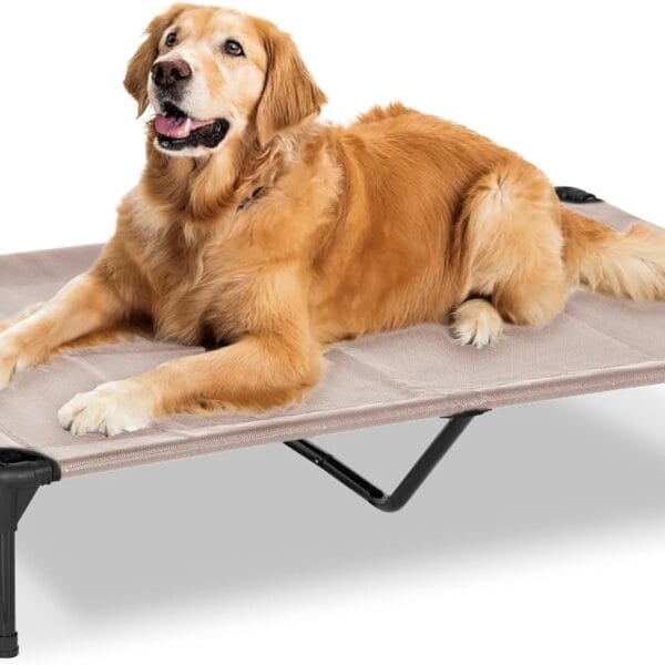 Elevated Dog Bed for Outdoor, XL Raised Dog Cot with Washable Mesh, Cooling Pet Cot Chew Proof for Outside Camping, 49"x33" Grey