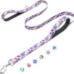 Reflective 6ft Dog Leash with Two Padded Handles, Heavy Duty Strong Nylon Pet Leash with Soft Neoprene Handle for Small Medium Large Dogs, Colorful Geometric