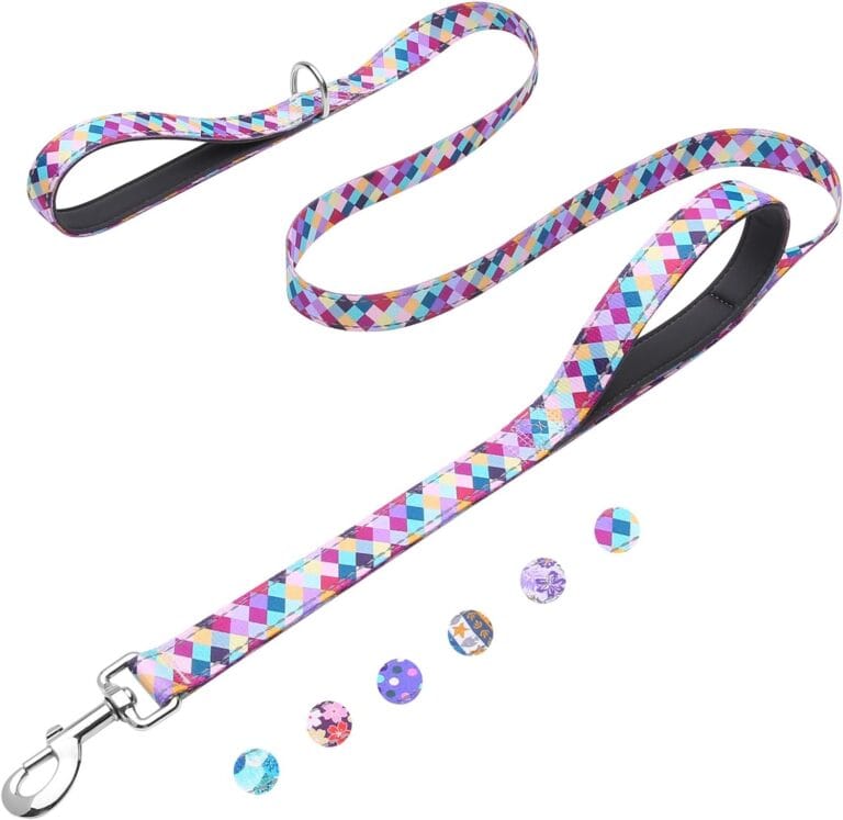 Reflective 6ft Dog Leash with Two Padded Handles, Heavy Duty Strong Nylon Pet Leash with Soft Neoprene Handle for Small Medium Large Dogs, Colorful Geometric