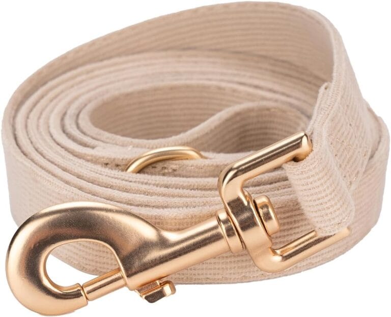 Corduroy Dog Leash 5 Ft Length for Small Medium Large Dogs (Beige,Medium)