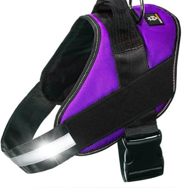 Non Pull Dog Harness with Patch Panels and Handle, Adjustable, Reflective, No Choke, Heavy Duty Easy On Service Dog Vest Harnesses for Medium Large Small Sized Dogs - Purple, XS