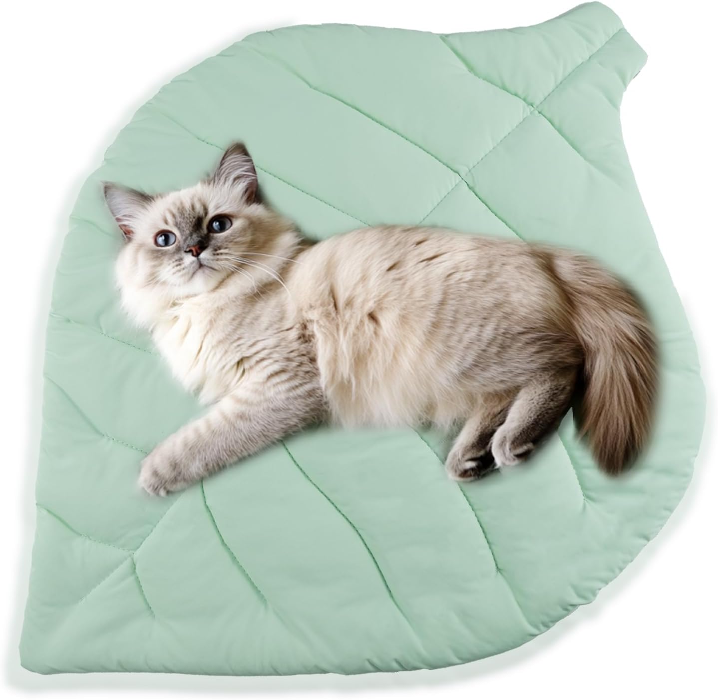 Cat Cooling Mat Pet Leaf Shaped Pad 26.5"x19.5" Breathable Durable Easy to Clean Pet Cool Mats for Cat and Small Dog use in Floor,Bed,Sofa,Chair,Kennel (Light Green) Cat Cooling Mat Pet Leaf Shaped Pad 26.5"x19.5" Breathable Durable Easy to Clean Pet Cool Mats for Cat and Small Dog use in Floor,Bed,Sofa,Chair,Kennel (Light Green)