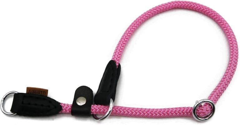 Braided Round Martingale Dog Collar, Training Collar with Slidable Stop Ring and Adjustable Stopper - Ideal for Small Dogs (S(1/4") - 14" Long, Pink)