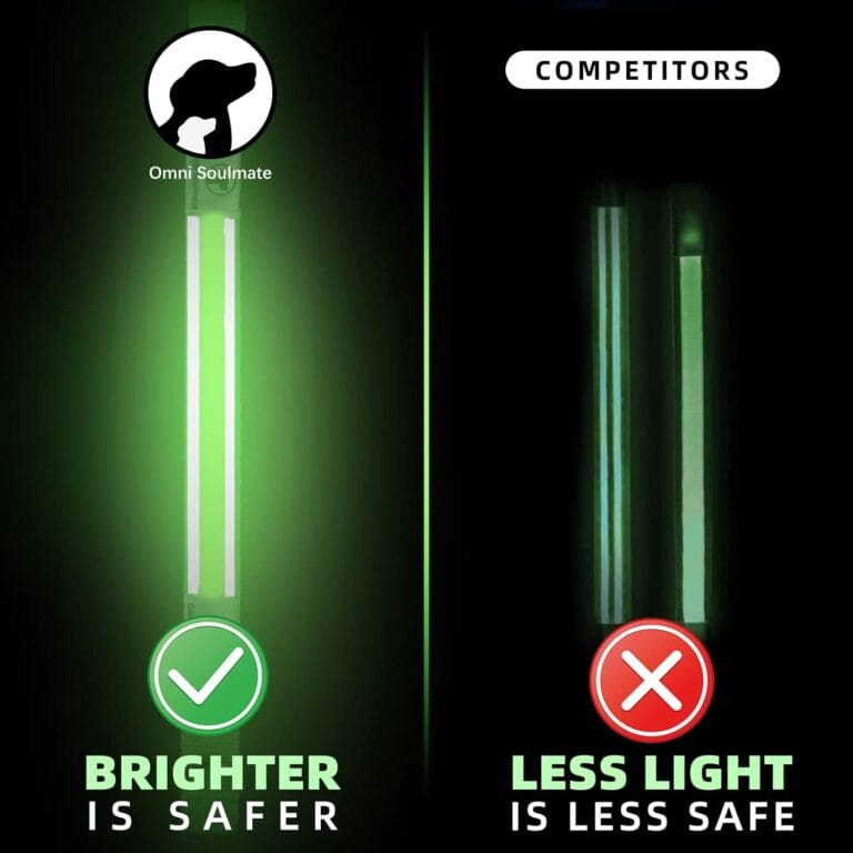 LED Dog Collar - Light Up Collars for Night, Personalized, Small & Large Dogs