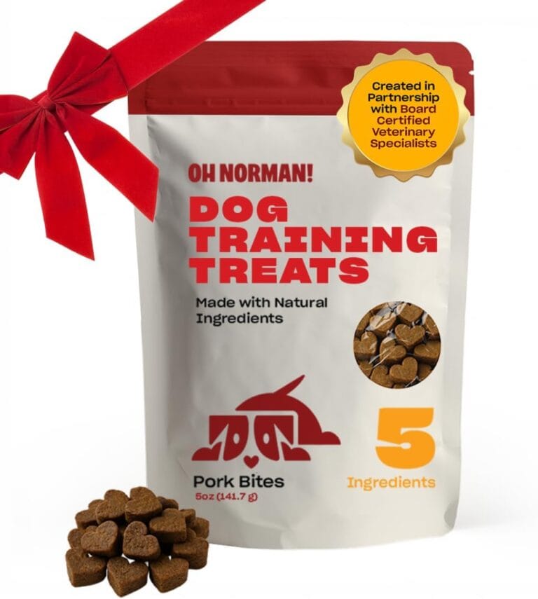 OH NORMAN! Dog Training Treats by Kaley Cuoco - Low Calories, Low Fat & Wholesome Training Treats with Pork - Doggie Treats for Seniors, Puppies, All Breeds & Life Stages