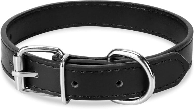 Black Leather Dog Collar for Small,Medium, Large Dog, (Medium: Wide :0.75'' for Dog's Neck: 10''~14'', Black)