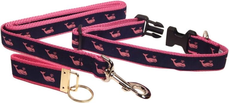 Preston Pink Whale on Navy Collar and Leash Set, Medium and Large Dogs, Free Matching Key Ring (Large, 1 1/4 Inch Width)