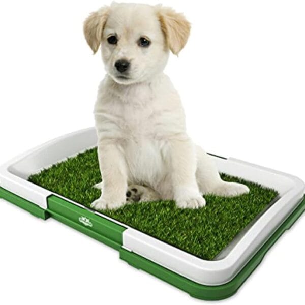Artificial Grass Pee Pad Set for Dogs (Synthetic Plastic Grass) - Reusable Puppy Essential for Potty Training Small Pets Indoors and Outdoors by PETMAKER (Green)