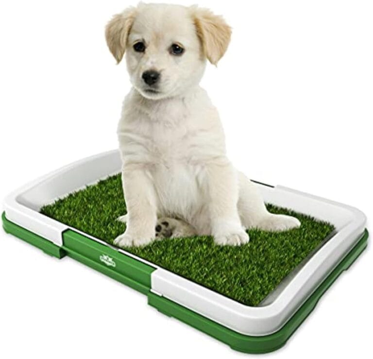 Artificial Grass Pee Pad Set for Dogs (Synthetic Plastic Grass) - Reusable Puppy Essential for Potty Training Small Pets Indoors and Outdoors by PETMAKER (Green)