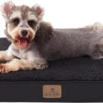 Bedfolks Orthopedic Dog Bed for Medium Dogs - Egg Foam Dog Crate Bed with Removable Waterproof Cover, Pet Bed Mat Suitable for Dogs and Pets Up to 35 lbs (30 x 20 x 3 inches, Black)