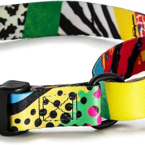 Wolfgang Heavy Duty Martingale Dog Collar with Quick Release Nylon Buckle for Walking & Training, RetroFit Print, Extra Large