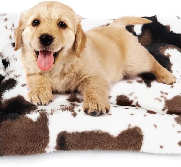 ULIGOTA Dog Bed Crate Pad Pet Cushion Mat for Small Dogs, Soft Fluffy Kennel Pad, Anti-Slip Comfy, White/Brown