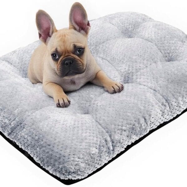 CLKHOWL Washable Dog Bed Plush Dog Crate Beds for Large, Medium, Small Size Dogs, Anti-Slip Soft Comfy Pet Kennel Pad, Fits Crate Mat and Cat Bed Mat (Grey, 25.59x19.68 inch)