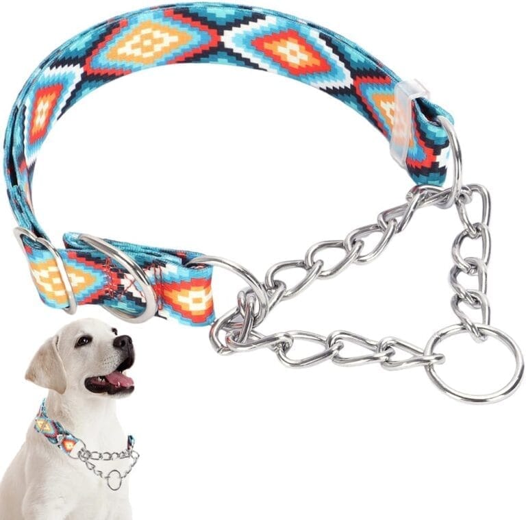 Stainless Steel Chain Martingale Collars for Large Dogs, No Pull Slip Choker Collar Training Escape Proof Heavy Duty Choke Dog Collar for Small Medium Large Dogs Girl Boy Female Pet, Boho L