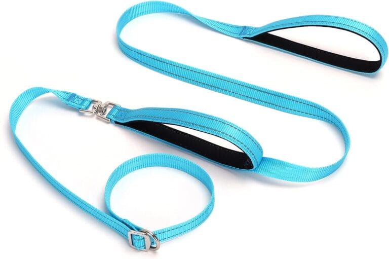 BTINESFUL Double Handle Slip Lead Dog Leash, 6FT Tangle-Free Reflective Training Leash, 3/4 in Flat No Pull Dog Walking Lead, Blue